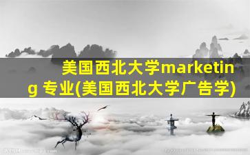 美国西北大学marketing 专业(美国西北大学广告学)